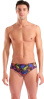 Arena Performance Sea Turtles Briefs