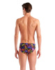 Arena Performance Sea Turtles Briefs